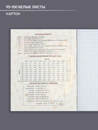Предметная тетрадь по алгебре Calligrata TOP «Кеды», 48 листов, в клетку, со справочным материалом, картонная обложка - Фото 2