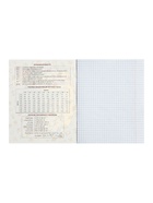 Предметная тетрадь по алгебре Calligrata TOP «Кеды», 48 листов, в клетку, со справочным материалом, картонная обложка - Фото 4