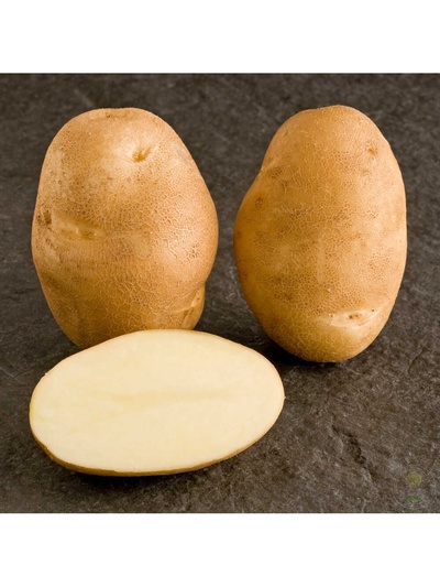 Семенной Картофель «Инноватор», суперсэлита, 2.5 кг