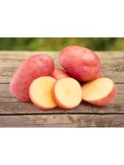 Семенной Картофель "Легенда", элита,  2,5 кг  (артикул 10459542)  большой выбор товаров оптом и в розницу по низким ценам с доставкой