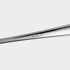 Набор вилок столовых Magistro «Виконт», длина 20.6 см, 6 шт., нержавеющая сталь, серебристый - Фото 4