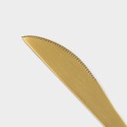 Набор ножей столовых из нержавеющей стали Magistro «Фолк», длина 22 см, 6 шт - Фото 3