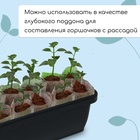 Ящик для рассады, 36 × 15 × 12.5 см, 4 л, пластик, цвет МИКС - Фото 4