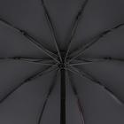Зонт механический «Клетка», эпонж, 4 сложения, 10 спиц, R = 54 см, цвет МИКС - фото 9743197