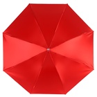 Зонт механический «Однотон», сатин, 4 сложения, 8 спиц, R = 49 см, цвет красный - Фото 5