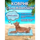 Коврик охлаждающий (гель), 40 х 30 см, снежинки - Фото 1