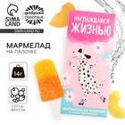 Мармелад мороженое «Наслаждайся жизнью», 1 шт. × 14 г - Фото 1