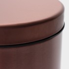 УЦЕНКА Ведро мусорное с педалью Stölz, 3 л, нержавеющая сталь, бронзовое - Фото 7