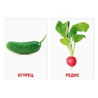 Обучающие карточки по методике Глена Домана «Овощи и травы», 8 карт, 2+ - фото 9659282