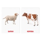 Обучающие карточки по методике Глена Домана «Домашние животные», 8 карт, 2+ - Фото 2