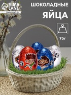 Яйца шоколадные, бельгийский, «Футбол», 75 г - Фото 1