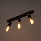 Потолочный светильник "Скин" 3хЕ27 40Вт черный 30х6х16см - Фото 3