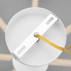 Люстра "Ола" 8хЕ27 40Вт цветная 95х95х60см - фото 24030047