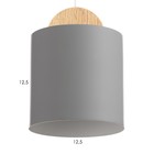 Бра "Кристер" Е27 40Вт серый 13х18х43 см - фото 24099825