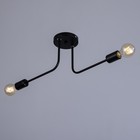 Люстра "Лагерта" 2хЕ27 40Вт черный 51х12х13,5 см - фото 24075736