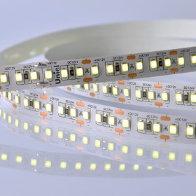 Светодиодная лента на самоклеящейся основе Uniel, IP20, 5 м, 2835, 168 LED/м, 14 Вт/м, 12 В, 6500К, свечение дневное белое