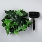 Садовая гирлянда на солнечной батарее «Плющ» Uniel, IP44, 2 м, теплый белый - фото 25538439