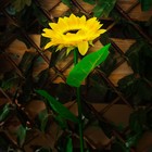 Садовый светильник на солнечной батарее «Подсолнух» Uniel, LED, IP44, 5 Лм, 770х140х150 мм, цвет жёлтый и зелёный - Фото 3
