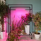 Светильник для растений светодиодный линейный, 540 мм Uniel, 10 Вт, LED, IP65, цвет прозрачный - Фото 6