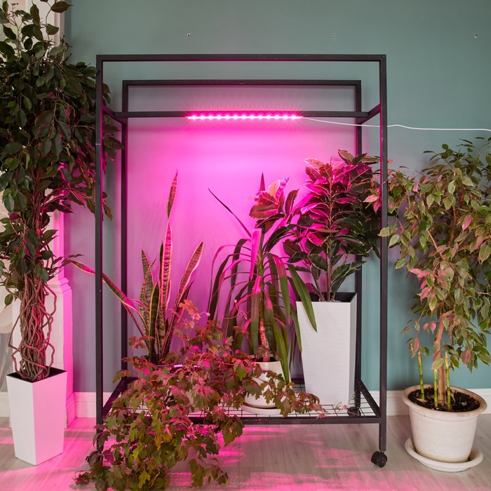 Светильник для растений светодиодный линейный, 540 мм Uniel, 10 Вт, LED, IP65, цвет прозрачный - фото 1908144573