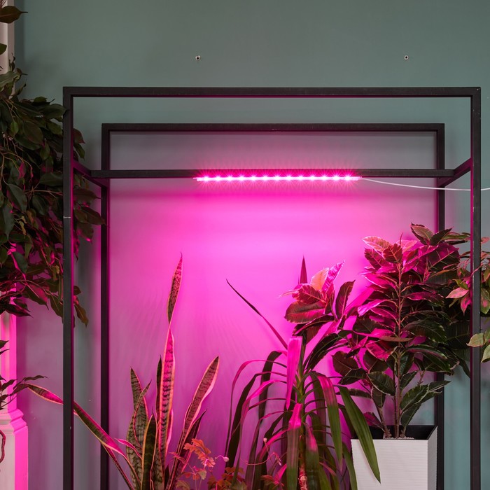 Светильник для растений светодиодный линейный, 540 мм Uniel, 10 Вт, LED, IP65, цвет прозрачный - фото 1908144574