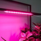 Светильник для растений светодиодный линейный, 540 мм Uniel, 10 Вт, LED, IP65, цвет прозрачный - Фото 8