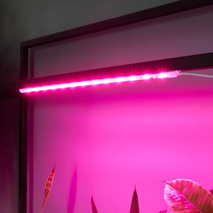 Светильник для растений светодиодный линейный, 540 мм Uniel, 10 Вт, LED, IP65, цвет прозрачный - фото 1908144576