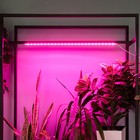 Светильник для растений светодиодный линейный, 900 мм Uniel, 14 Вт, LED, IP65, цвет прозрачный - Фото 7