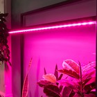 Светильник для растений светодиодный линейный, 900 мм Uniel, 14 Вт, LED, IP65, цвет прозрачный - Фото 8
