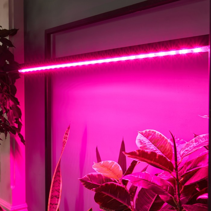 Светильник для растений светодиодный линейный, 900 мм Uniel, 14 Вт, LED, IP65, цвет прозрачный - фото 1908144587