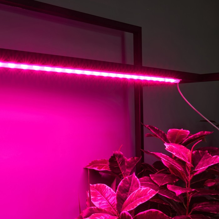 Светильник для растений светодиодный линейный, 900 мм Uniel, 14 Вт, LED, IP65, цвет прозрачный - фото 1908144588