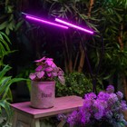 Светильник для растений светодиодный с таймером, на прищепке Uniel, 15 Вт, LED, IP40, 710х110х75 мм, цвет чёрный - Фото 6