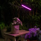 Светильник для растений светодиодный с таймером, на прищепке Uniel, 15 Вт, LED, IP40, 710х110х75 мм, цвет чёрный - Фото 8
