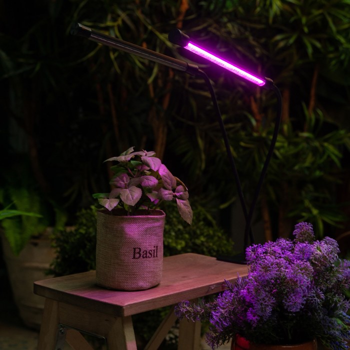Светильник для растений светодиодный с таймером, на прищепке Uniel, 15 Вт, LED, IP40, 710х110х75 мм, цвет чёрный - фото 1908144612