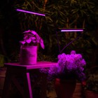 Светильник для растений светодиодный с таймером, на прищепке Uniel, 15 Вт, LED, IP40, 710х110х75 мм, цвет чёрный - Фото 9