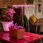Светильник для растений светодиодный линейный, 560 мм Uniel, 18 Вт, BIO LED, IP40, цвет белый - Фото 10