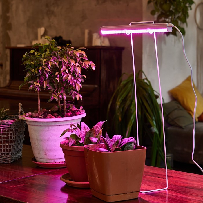 Светильник для растений светодиодный линейный, 560 мм Uniel, 18 Вт, BIO LED, IP40, цвет белый - фото 1908144656