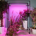 Светильник для растений светодиодный линейный, 900 мм Uniel, 14 Вт, LED, IP65, цвет прозрачный - Фото 4