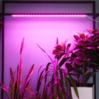 Светильник для растений светодиодный линейный, 900 мм Uniel, 14 Вт, LED, IP65, цвет прозрачный - Фото 5