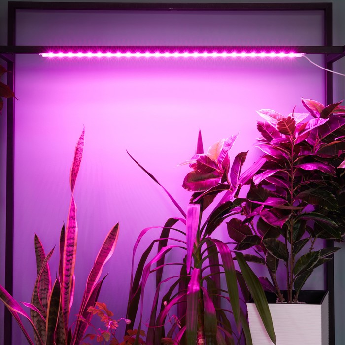 Светильник для растений светодиодный линейный, 900 мм Uniel, 14 Вт, LED, IP65, цвет прозрачный - фото 1908144675