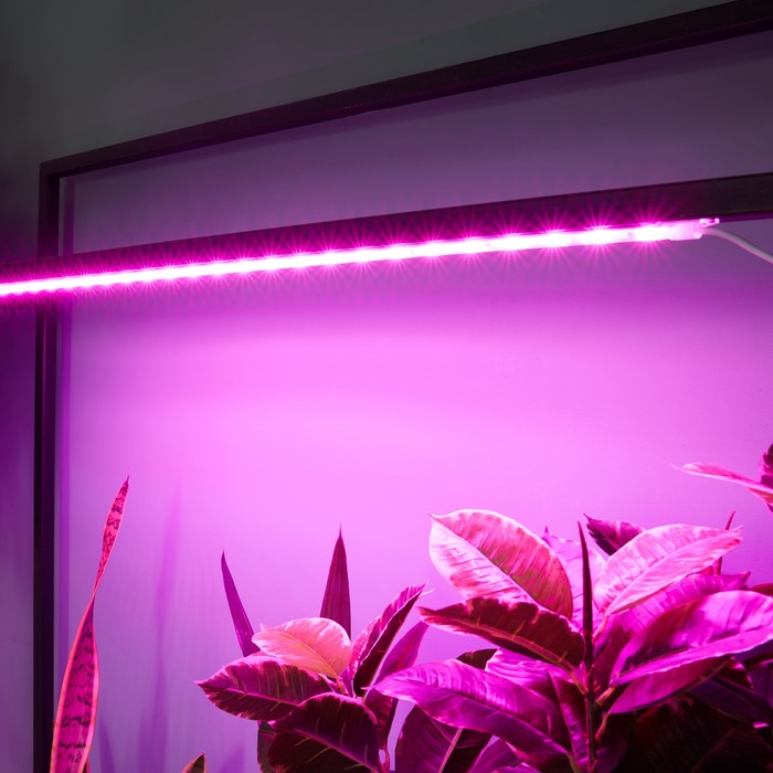 Светильник для растений светодиодный линейный, 900 мм Uniel, 14 Вт, LED, IP65, цвет прозрачный - фото 1908144676