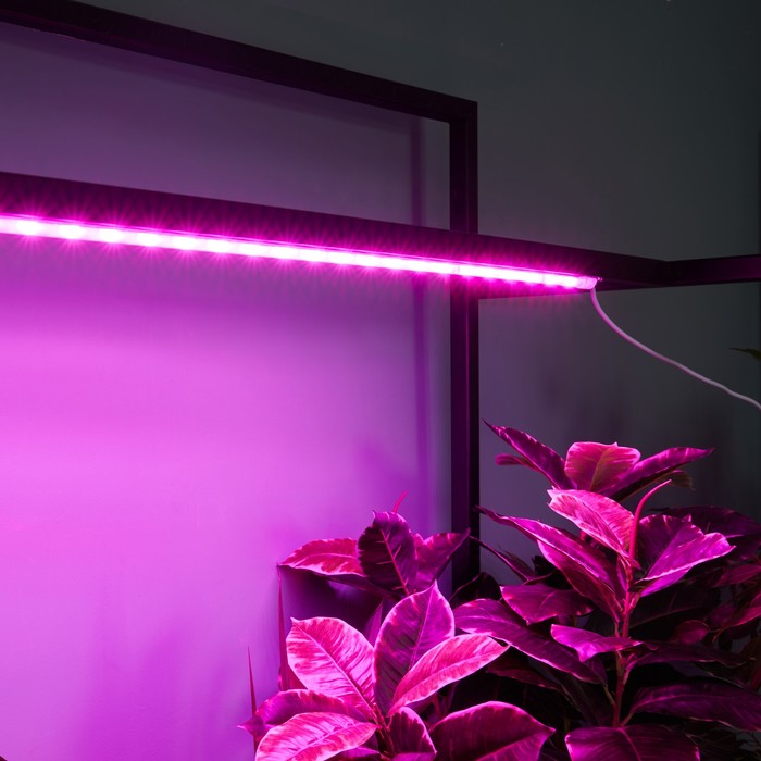 Светильник для растений светодиодный линейный, 900 мм Uniel, 14 Вт, LED, IP65, цвет прозрачный - фото 1908144677