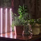 Светильник для растений светодиодный линейный, 600 мм Uniel, 90 Вт, LED, IP65, цвет прозрачный - Фото 1