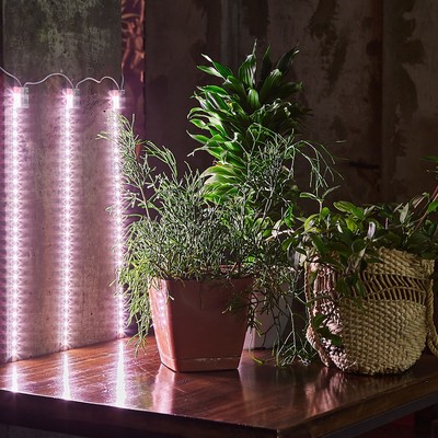 Светильник для растений светодиодный линейный, 600 мм Uniel, 90 Вт, LED, IP65, цвет прозрачный