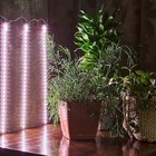Светильник для растений светодиодный линейный, 600 мм Uniel, 90 Вт, LED, IP65, цвет прозрачный - Фото 5