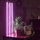 Светильник для растений светодиодный линейный, 1200 мм Uniel, 180 Вт, LED, IP65, цвет прозрачный - Фото 1