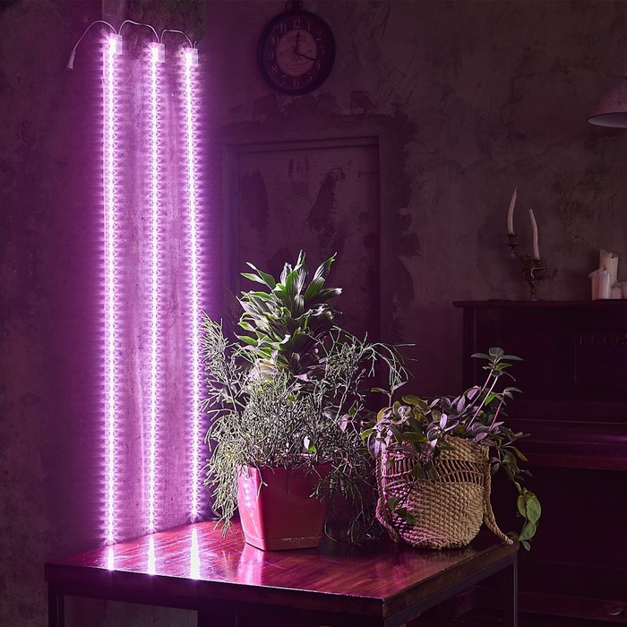 Светильник для растений светодиодный линейный, 1200 мм Uniel, 180 Вт, LED, IP65, цвет прозрачный - фото 1908144693