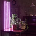 Светильник для растений светодиодный линейный, 1200 мм Uniel, 180 Вт, LED, IP65, цвет прозрачный - Фото 5