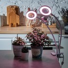Светильник для растений светодиодный с таймером, на прищепке Uniel, 15 Вт, LED, IP40, 520х114х76 мм, цвет белый - Фото 12