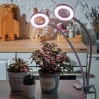 Светильник для растений светодиодный с таймером, на прищепке Uniel, 15 Вт, LED, IP40, 520х114х76 мм, цвет белый - Фото 3